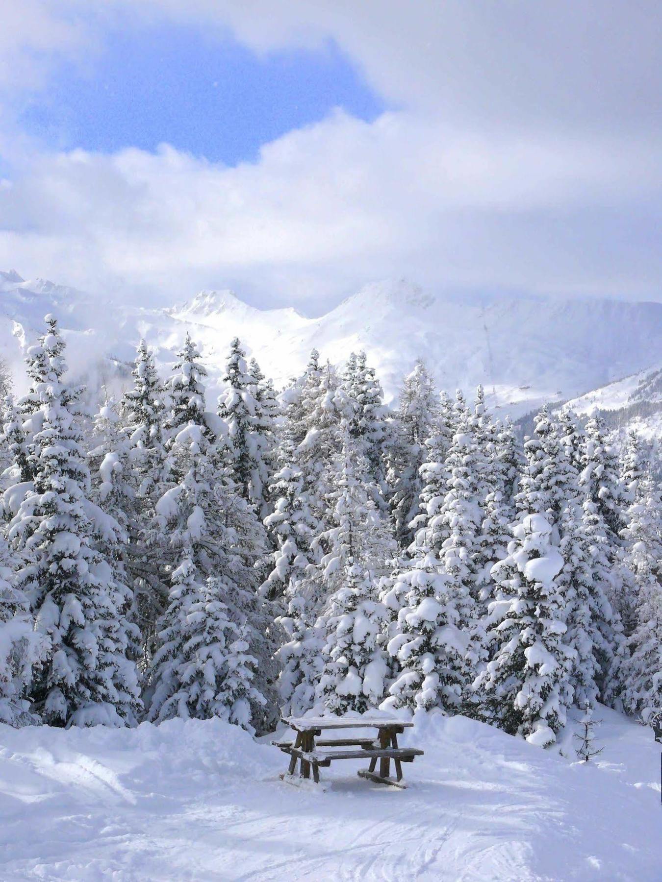 Chalet Des Domaines De La Vanoise Apart otel Peisey-Nancroix Dış mekan fotoğraf